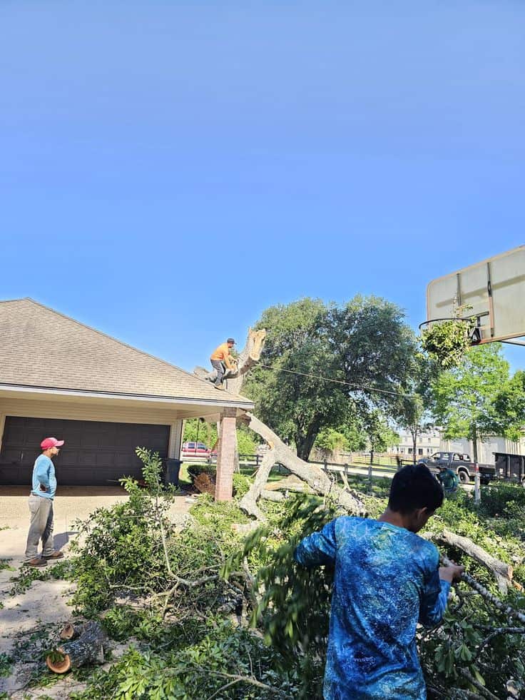 All Good Lawn and Tree Services owner